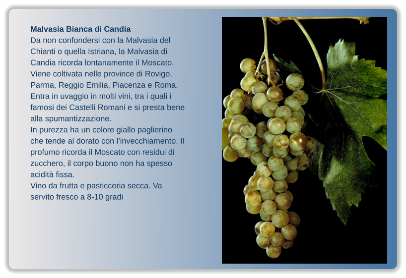 Malvasia Bianca di Candia Da non confondersi con la Malvasia del Chianti o quella Istriana, la Malvasia di Candia ricorda lontanamente il Moscato, Viene coltivata nelle province di Rovigo, Parma, Reggio Emilia, Piacenza e Roma. Entra in uvaggio in molti vini, tra i quali i famosi dei Castelli Romani e si presta bene alla spumantizzazione. In purezza ha un colore giallo paglierino che tende al dorato con l’invecchiamento. Il profumo ricorda il Moscato con residui di zucchero, il corpo buono non ha spesso acidità fissa. Vino da frutta e pasticceria secca. Va servito fresco a 8-10 gradi