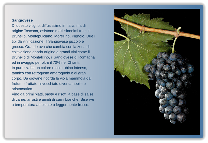 Sangiovese Di questo vitigno, diffusissimo in Italia, ma di origine Toscana, esistono molti sinonimi tra cui: Brunello, Montepulciano, Morellino, Pignolo. Due i tipi da vinificazione: il Sangiovese piccolo e grosso. Grande uva che cambia con la zona di coltivazione dando origine a grandi vini come il Brunello di Montalcino, il Sangiovese di Romagna ed in uvaggio per oltre il 70% nel Chianti. In purezza ha un colore rosso rubino intenso, tannico con retrogusto amarognolo e di gran corpo. Da giovane ricorda la viola mammola dal frofumo fruttato, invecchiato diventa nobile e aristocratico. Vino da primi piatti, paste e risotti a base di salse di carne; arrosti e umidi di carni bianche. Sise rve a temperatura ambiente o leggermente fresco.