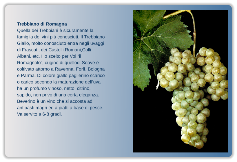 Trebbiano di Romagna Quella dei Trebbiani è sicuramente la famiglia dei vini più conosciuti. Il Trebbiano Giallo, molto conosciuto entra negli uvaggi di Frascati, dei Castelli Romani,Colli Albani, etc. Ho scelto per Voi “il Romagnolo”, cugino di quellodi Soave è coltivato attorno a Ravenna, Forlì, Bologna e Parma. Di colore giallo paglierino scarico o carico secondo la maturazione dell’uva ha un profumo vinoso, netto, citrino, sapido, non privo di una certa eleganza. Beverino è un vino che si accosta ad antipasti magri ed a piatti a base di pesce. Va servito a 6-8 gradi.