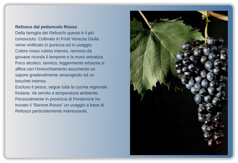 Refosco dal peduncolo Rosso Della famiglia dei Refoschi questo è il più conosciuto. Coltivato in Friuli Venezia Giulia viene vinificato in purezza ed in uvaggio. Colore rosso rubino intenso, nervoso da giovane ricorda il lampone e la mora selvatica. Poco alcolico, tannico, leggermente erbacea si affina con l’invecchiamento assumento un sapore gradevolmente amarognolo ed un bouchet intenso. Escluso il pesce, segue tutta la cucina regionale friulana. Va servito a temperatura ambiente. Personalmente in provincia di Pordenone ho trovato il “Barone Rosso” un uvaggio a base di Refosco particolarmente interessante.