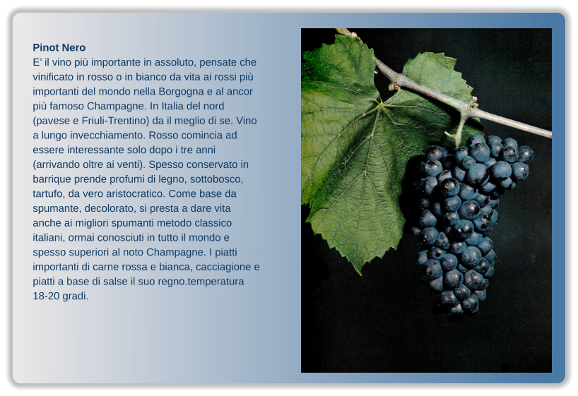 Pinot Nero E’ il vino più importante in assoluto, pensate che vinificato in rosso o in bianco da vita ai rossi più importanti del mondo nella Borgogna e al ancor più famoso Champagne. In Italia del nord (pavese e Friuli-Trentino) da il meglio di se. Vino a lungo invecchiamento. Rosso comincia ad essere interessante solo dopo i tre anni (arrivando oltre ai venti). Spesso conservato in barrique prende profumi di legno, sottobosco, tartufo, da vero aristocratico. Come base da spumante, decolorato, si presta a dare vita anche ai migliori spumanti metodo classico italiani, ormai conosciuti in tutto il mondo e spesso superiori al noto Champagne. I piatti importanti di carne rossa e bianca, cacciagione e piatti a base di salse il suo regno.temperatura 18-20 gradi.