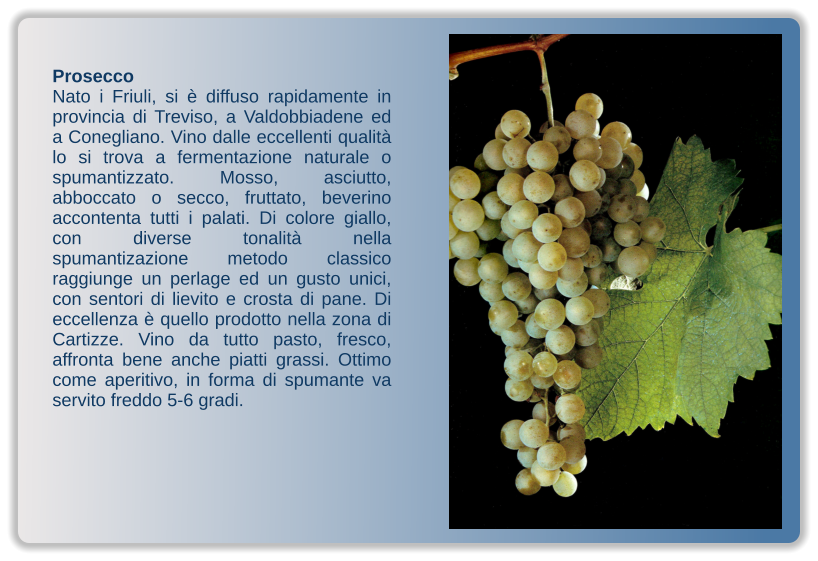 Prosecco Nato i Friuli, si è diffuso rapidamente in provincia di Treviso, a Valdobbiadene ed a Conegliano. Vino dalle eccellenti qualità lo si trova a fermentazione naturale o spumantizzato. Mosso, asciutto, abboccato o secco, fruttato, beverino accontenta tutti i palati. Di colore giallo, con diverse tonalità nella spumantizazione metodo classico raggiunge un perlage ed un gusto unici, con sentori di lievito e crosta di pane. Di eccellenza è quello prodotto nella zona di Cartizze. Vino da tutto pasto, fresco, affronta bene anche piatti grassi. Ottimo come aperitivo, in forma di spumante va servito freddo 5-6 gradi.
