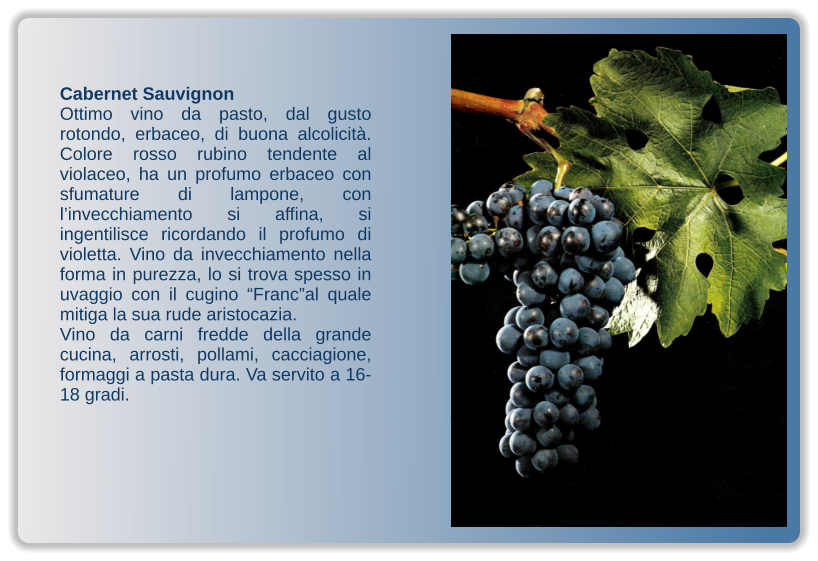Cabernet Sauvignon Ottimo vino da pasto, dal gusto rotondo, erbaceo, di buona alcolicità. Colore rosso rubino tendente al violaceo, ha un profumo erbaceo con sfumature di lampone, con l’invecchiamento si affina, si ingentilisce ricordando il profumo di violetta. Vino da invecchiamento nella forma in purezza, lo si trova spesso in uvaggio con il cugino “Franc”al quale mitiga la sua rude aristocazia.  Vino da carni fredde della grande cucina, arrosti, pollami, cacciagione, formaggi a pasta dura. Va servito a 16-18 gradi.