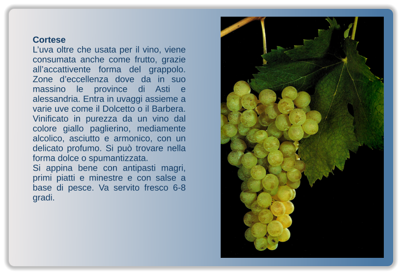 Cortese L’uva oltre che usata per il vino, viene consumata anche come frutto, grazie all’accattivente forma del grappolo. Zone d’eccellenza dove da in suo massino le province di Asti e alessandria. Entra in uvaggi assieme a varie uve come il Dolcetto o il Barbera. Vinificato in purezza da un vino dal colore giallo paglierino, mediamente alcolico, asciutto e armonico, con un delicato profumo. Si può trovare nella forma dolce o spumantizzata. Si appina bene con antipasti magri, primi piatti e minestre e con salse a base di pesce. Va servito fresco 6-8 gradi.