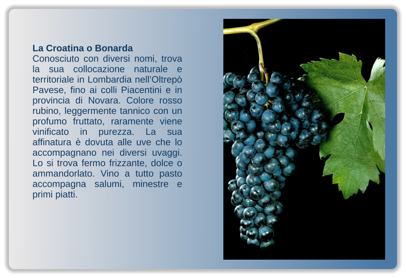 La Croatina o Bonarda Conosciuto con diversi nomi, trova la sua collocazione naturale e territoriale in Lombardia nell’Oltrepò Pavese, fino ai colli Piacentini e in provincia di Novara. Colore rosso rubino, leggermente tannico con un profumo fruttato, raramente viene vinificato in purezza. La sua affinatura è dovuta alle uve che lo accompagnano nei diversi uvaggi. Lo si trova fermo frizzante, dolce o ammandorlato. Vino a tutto pasto accompagna salumi, minestre e primi piatti.
