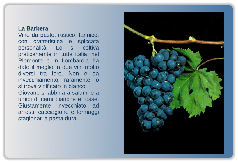 La Barbera Vino da pasto, rustico, tannico, con cratteristica e spiccata personalità. Lo si coltiva praticamente in tutta italia, nel PIemonte e in Lombardia ha dato il meglio in due vini molto diversi tra loro. Non è da invecchiamento, raramente lo si trova vinificato in bianco. Giovane si abbina a salumi e a umidi di carni bianche e rosse. Giustamente invecchiato ad arrosti, cacciagione e formaggi stagionati a pasta dura.